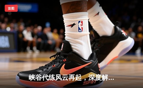 峡谷代练风云再起，深度解析十大接单平台竞技生态